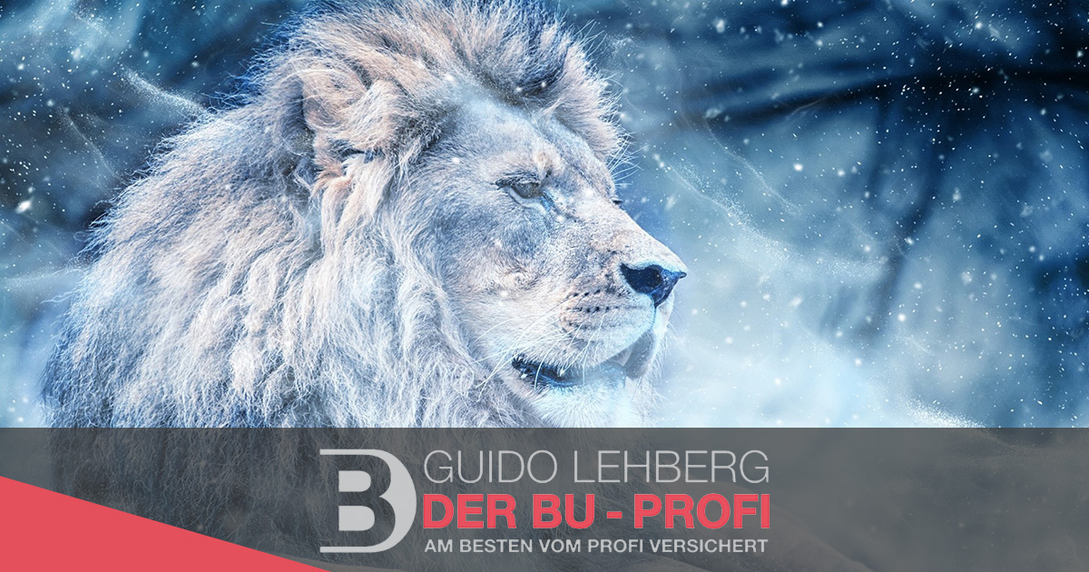 Der BU-Profi - Was macht die neue Grundfähigkeitenversicherung von Die Bayerische besser?